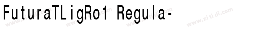 FuturaTLigRo1 Regula字体转换 FuturaTLigRo1 Regula字体转换
